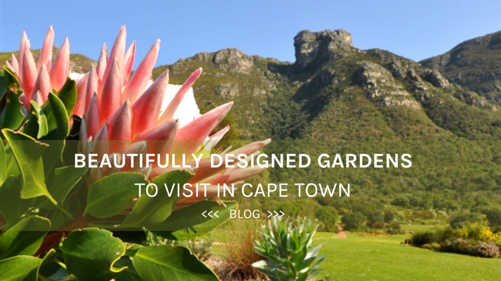Beautifully Designed Gardens to visit in Cape Town